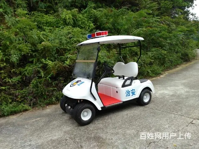 大量巡逻车，电动观光车出售 - 图片 10