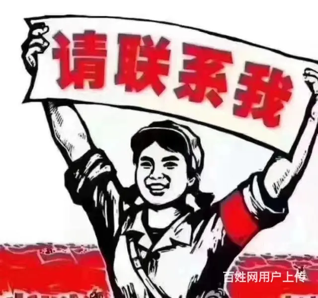 法律服务 - 图片 3