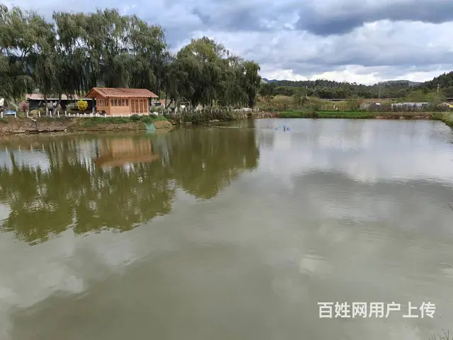 4251（爆铺网）50亩露营地转让(租金5万一年) - 图片 8