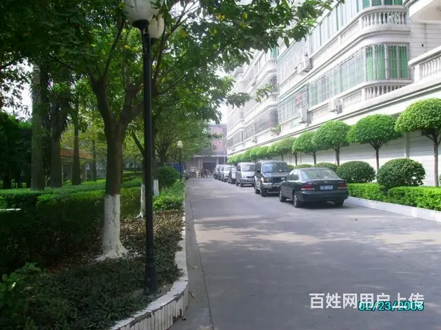 中人小区 电梯4房 一生气揉眼胎教  嫌疑犯小鞋超 - 图片 12