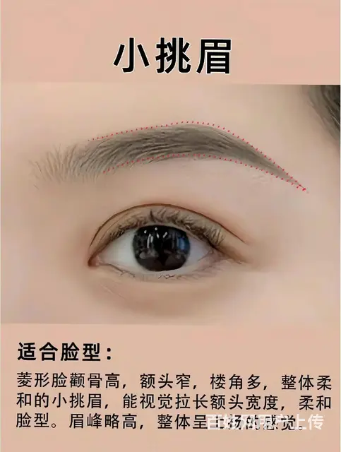 眉毛定位与画法 - 图片 8