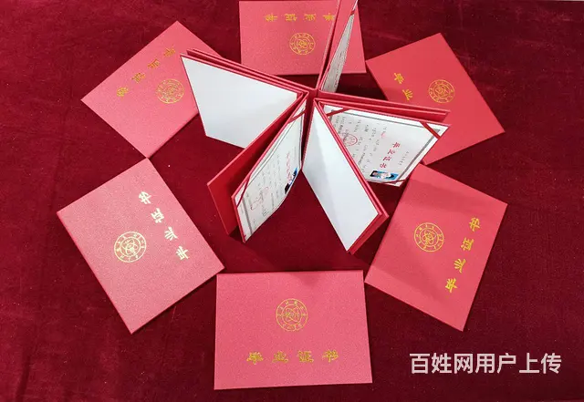 赤峰学历提升成考时间轴精准卡点上岸，错过再等一年 - 图片 1