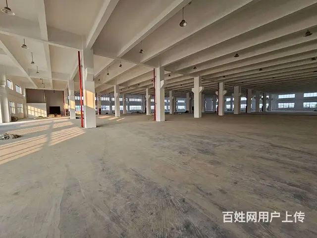 支塘独栋全新1至3楼每层6000平，高12米，可架20吨行车 - 图片 7