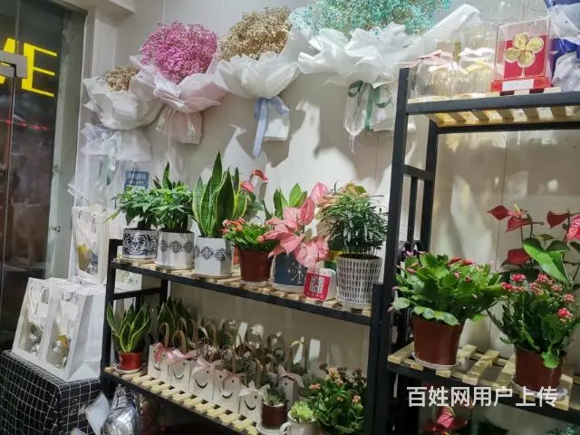 （老板房源）民政学院临街花店优价转让（可空转） - 图片 9