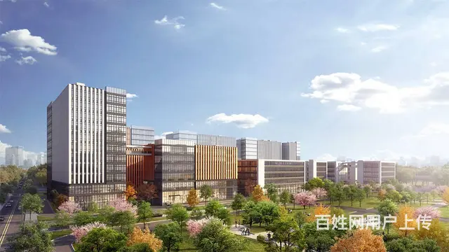 高性价比园区办公独栋出售 - 图片 6