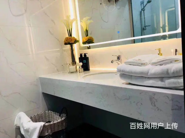 湖州市中心 下一个梦享城 精装修现房、70年产权小 - 图片 6