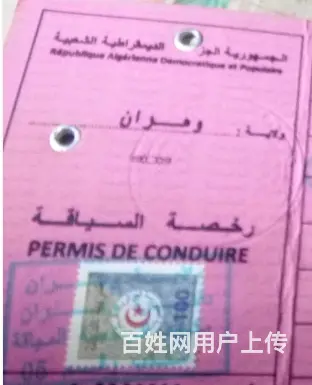 蒙古驾驶执照翻译体检报告翻译日本护照俄罗斯公证书 - 图片 2