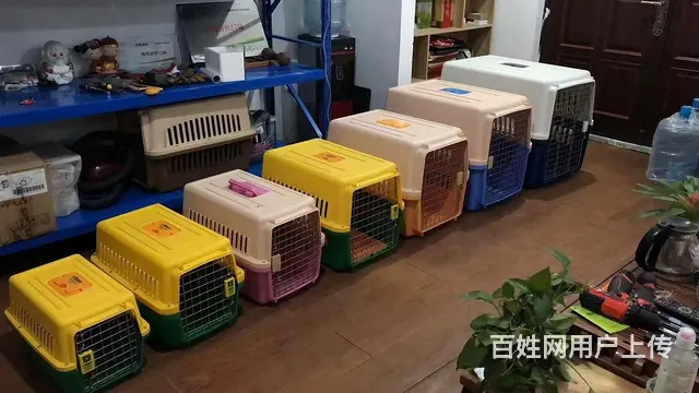 丹东宠物托运（猫狗）活体运输邮寄 （2022今日推荐） - 图片 1