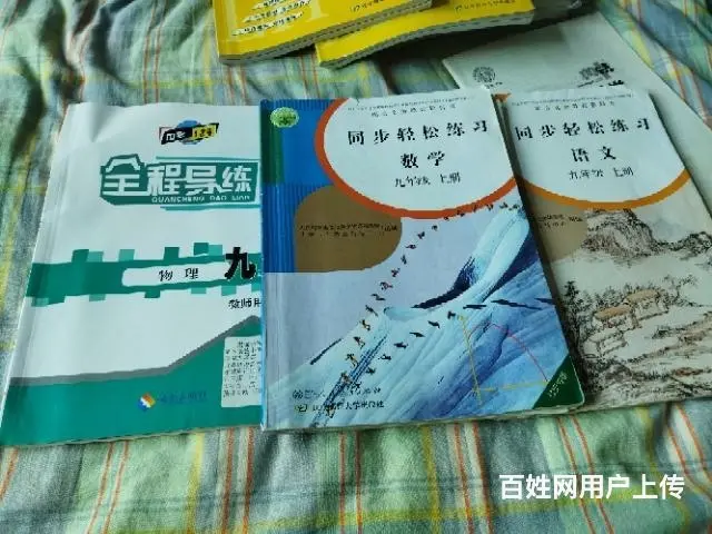 中考教材初一初二书初三练习册参考书等 - 图片 4