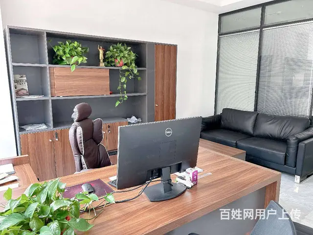 独栋精装修办公楼 研发楼 - 图片 5