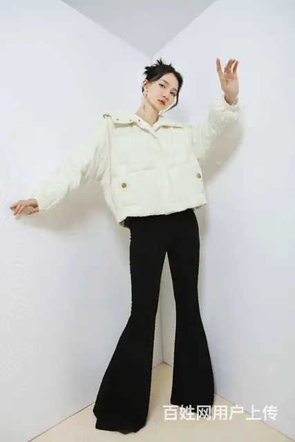 武汉盛依服饰索仑莎冬季女士鹅绒服大货上新 - 图片 2