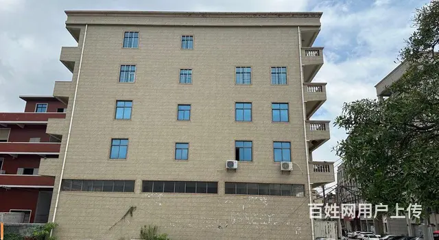 陈埭西滨万里路297号 独立厂房出租 可进出入大车 水电齐全 - 图片 4