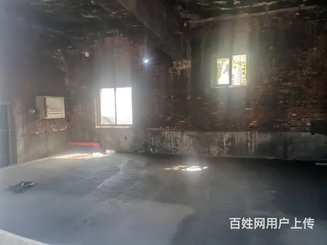 低价出租蛤蟆塘大集附近厂房400平，独门独院，动力电 - 图片 4