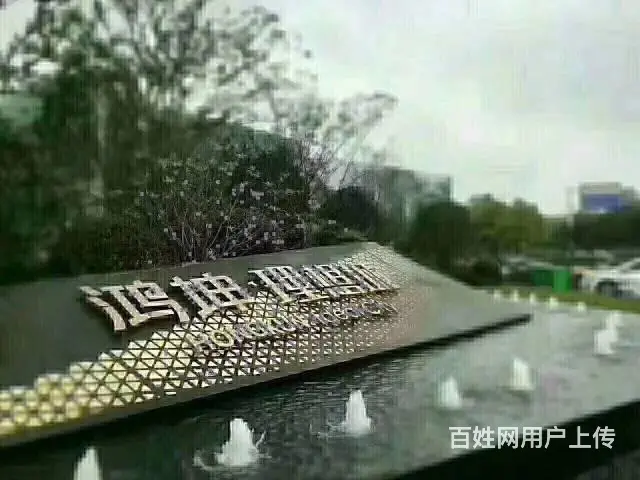 鸿坤理想城再续热销传奇 一出大滁城 就买理想城 - 图片 2