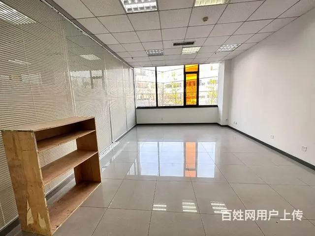 浑南366平办公室租赁丨4+1户型丨软件园办公室免费会议停车 - 图片 4