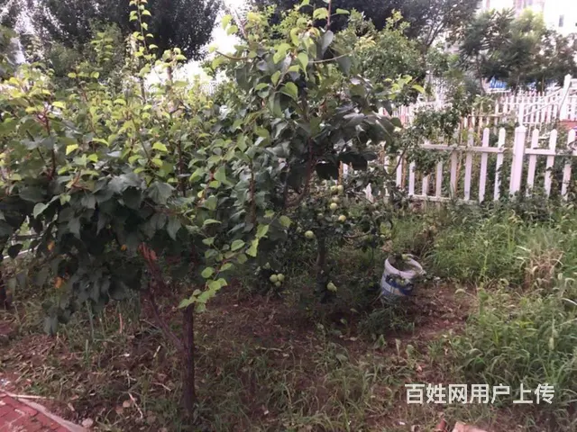 地铁房特变之家(铁西) 普通住宅2厅 精装修 - 图片 4