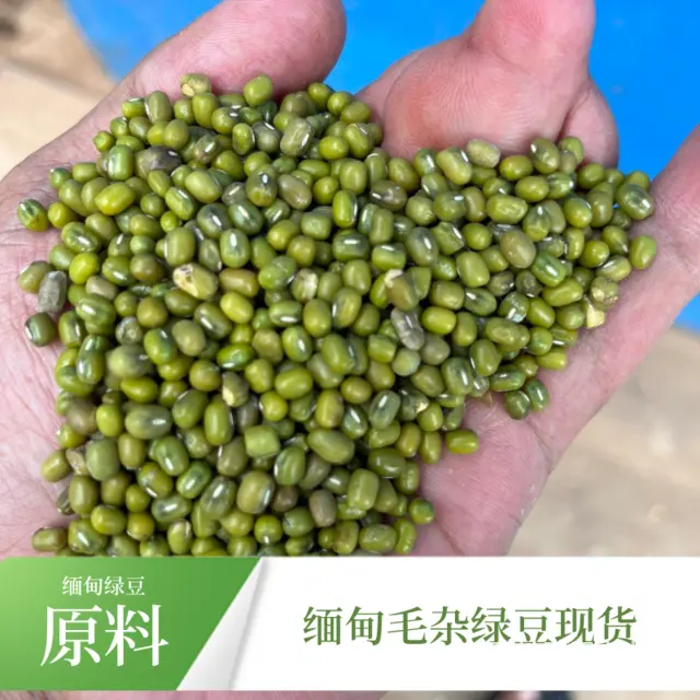 缅甸大厂区绿豆 油绿豆原粮大量供应量大价优欢迎采购 - 图片 9