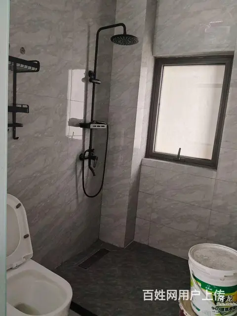 潘安湖奥莱鹭湖朗庭住房出租精装修 - 图片 9