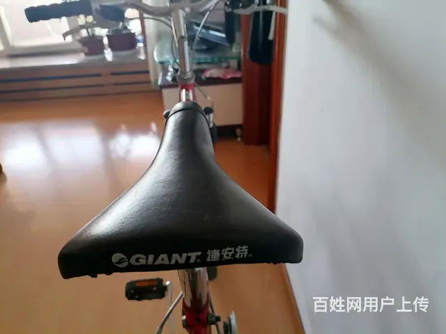 捷安特钢架公路自行车 - 图片 4
