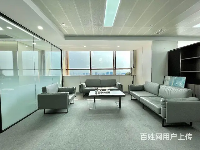 天际项目东方希望天祥广场精装写字楼出租随时看房 - 图片 4