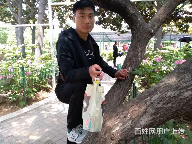真诚征婚 - 图片