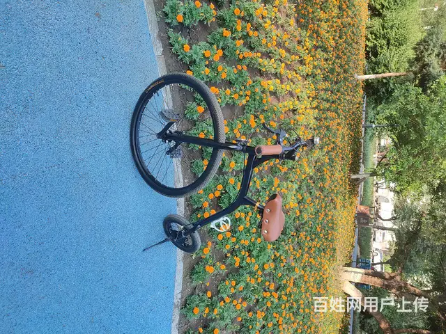 黑龙江只有一台 - 图片 6
