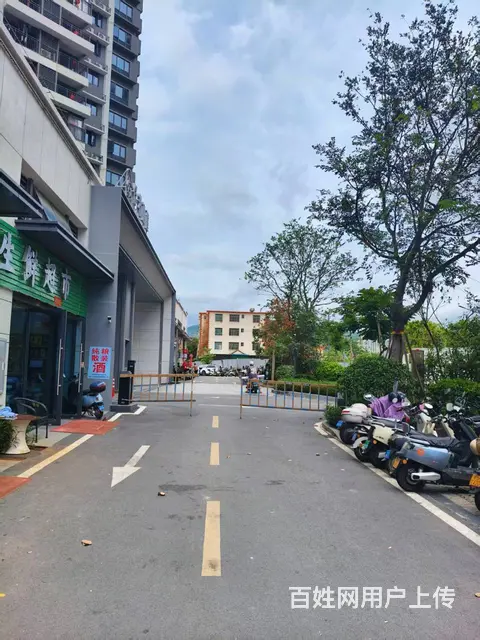 （51旺铺推荐）保利栖麓62平旺铺出租 - 图片 5