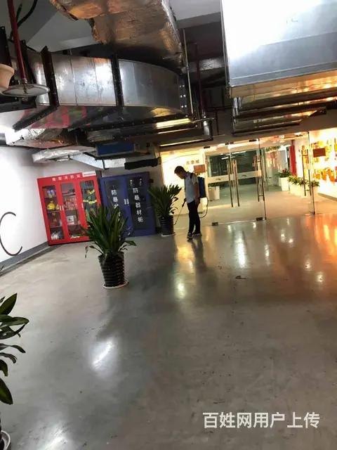 资阳灭白蚁公司，资阳杀白蚁公司，资阳除白蚁公司 - 图片 4