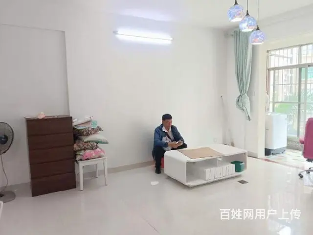 罗牛山花园2房    世纪公园商圈 - 图片 2