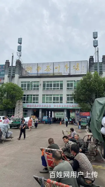丽水松阳招采茶工，中国茶叶之乡，浙南茶叶市场欢迎你 - 图片 4