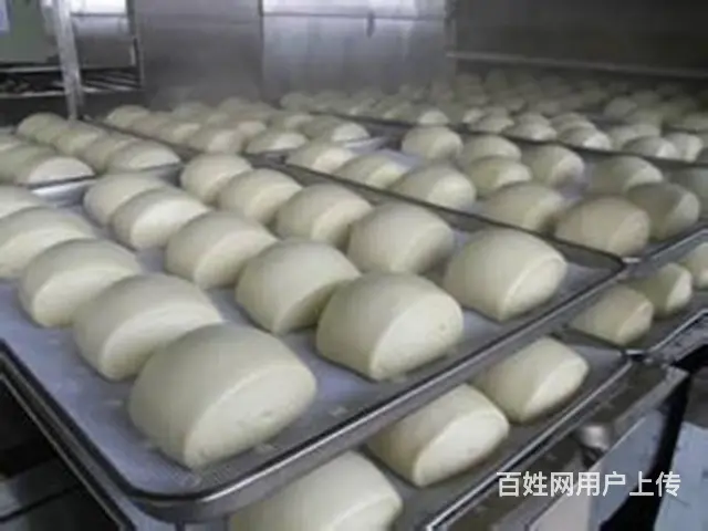 揭阳 卡通包子外形多样 可爱逼真 汕头仟味餐饮培训 - 图片 12