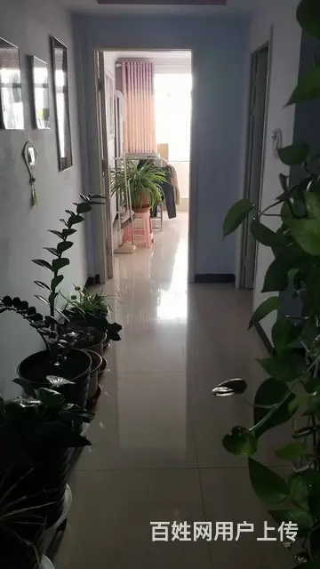 低价出售察北管理区楼房 - 图片 2
