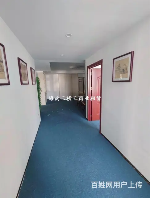 （三横王）龙昆南，海师对面422平精装出租 - 图片 3
