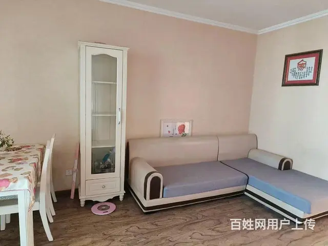 王场东村 普通住宅1厅 精装修 - 图片 1