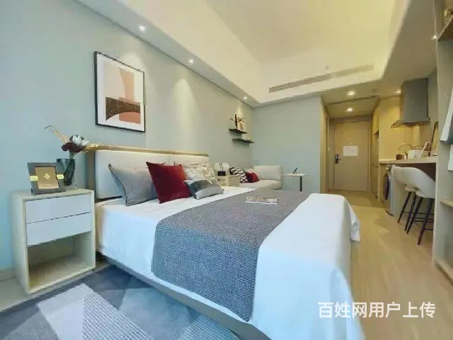 多套可选 看到满意为止 押一付一 包物业 可短租 长租有优惠 - 图片 1