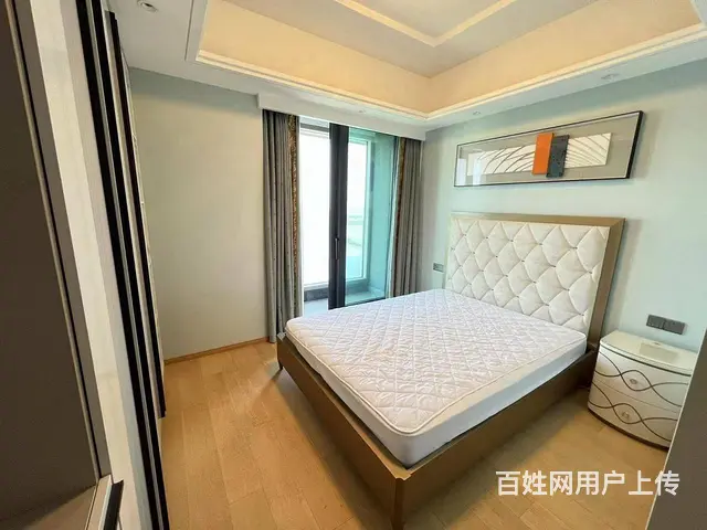 东湖旁 业主自主出租 近武汉站 一梯一户 全屋定制 - 图片 4