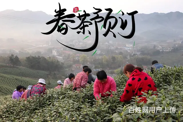 二十四节气--雨水 我们在安吉等着您 - 图片 1