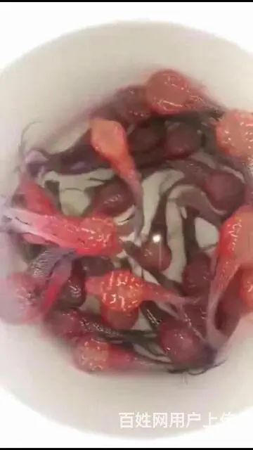 琼海哪里有卖罗汉鱼，琼海卖罗汉鱼地址 - 图片 1