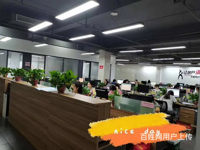 芙蓉区文艺路 朝阳街免费办执照 税务登记申报注销 - 图片 2