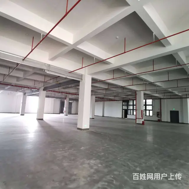 尚湖鸳鸯桥标准厂房10500平，宿舍配套，适合各种行业，分租 - 图片 9