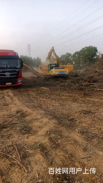 助力退林还耕，专业清理树枝树根 - 图片 5