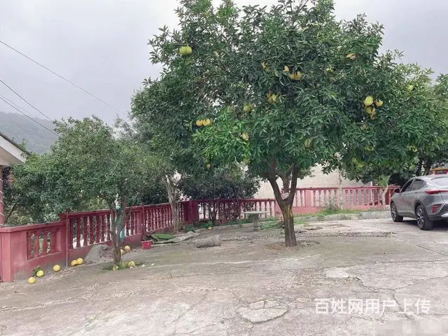 （老板本人）岳麓区王家湾旁独门独院农家乐露营基地招租6106 - 图片 12