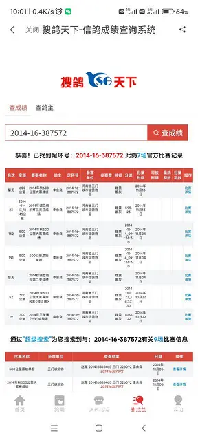 信鸽种鸽  幼鸽要的联系 - 图片 2