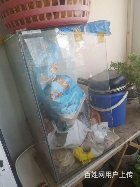 鱼缸 - 图片 2