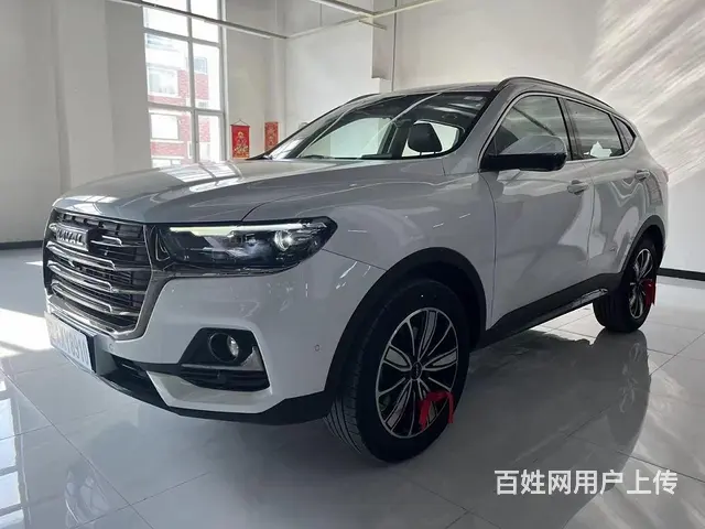 哈弗H6国潮自动超豪 - 图片 3