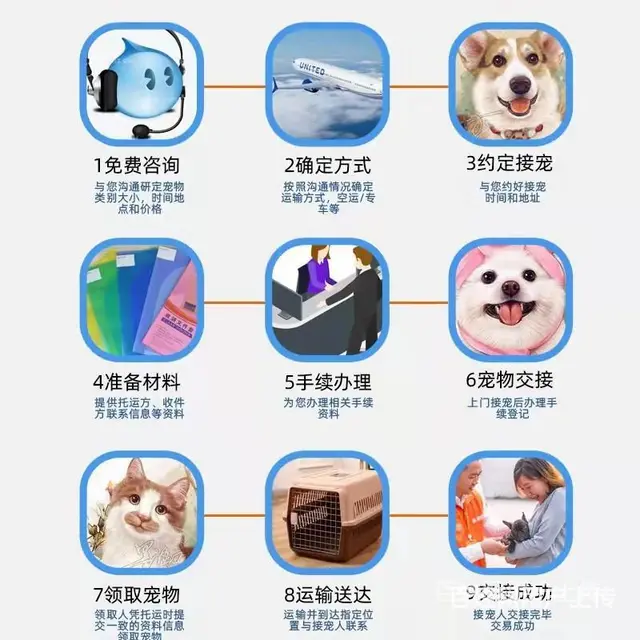 金华义乌宠物托运（猫狗）活体邮寄快递（2022宠物运输 ）今 - 图片 1