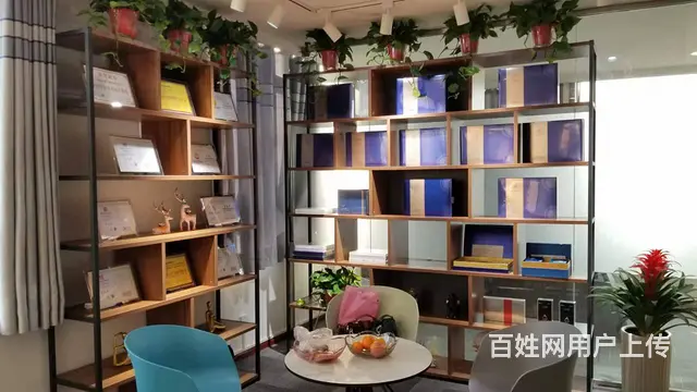 理疗师 塑型师 - 图片 7