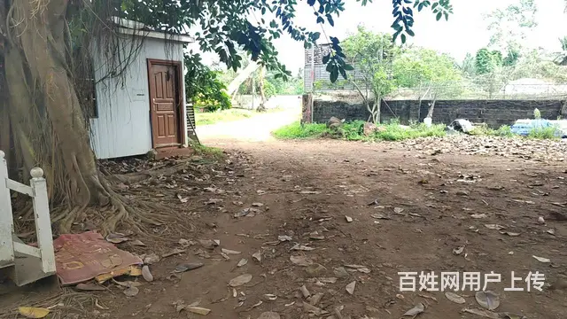土地出租，6亩地分租，秀英区南海大道 - 图片 7
