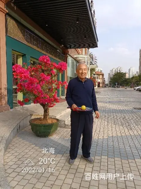 益生元膳食纤维，防便秘还保健 - 图片
