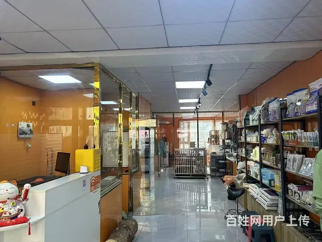 学院路清吧 宠物猫咖 奶茶饮品店铺出兑 - 图片 3
